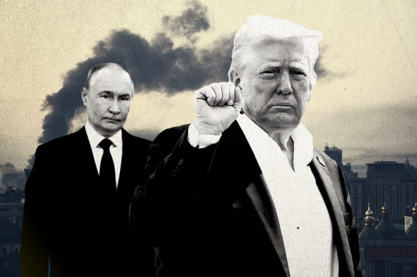  - برفيلكس - brieflex