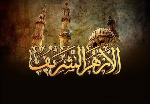 images - 2025-07-27T001203541 - برفيلكس - brieflex  - برفيلكس - brieflex