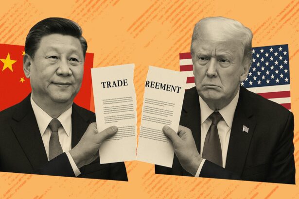  - برفيلكس - brieflex