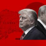  - برفيلكس - brieflex