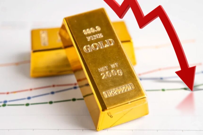  - برفيلكس - brieflex