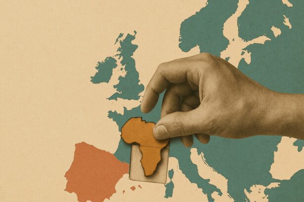  - برفيلكس - brieflex