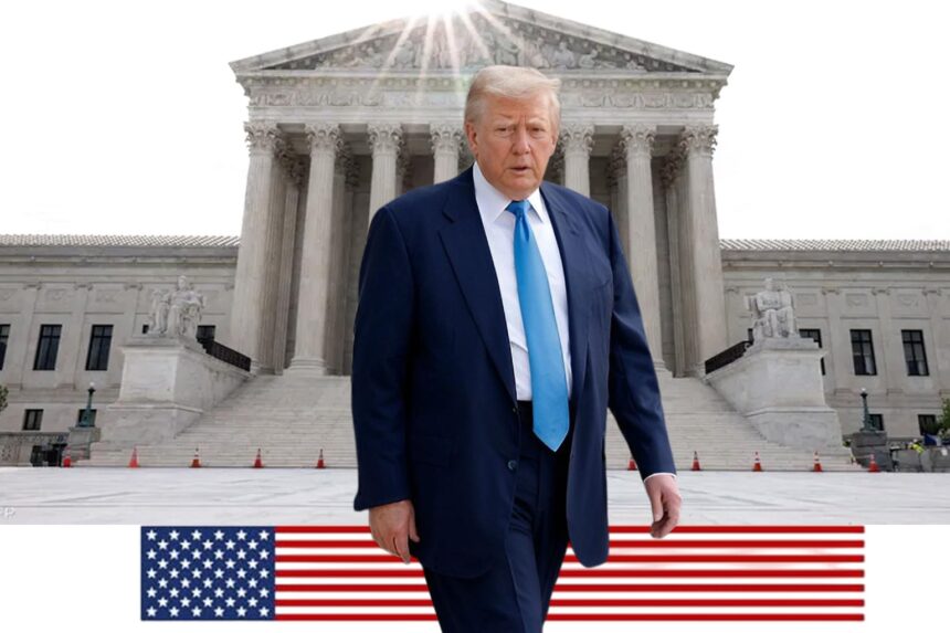  - برفيلكس - brieflex