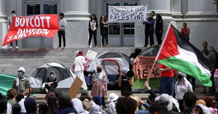  - برفيلكس - brieflex