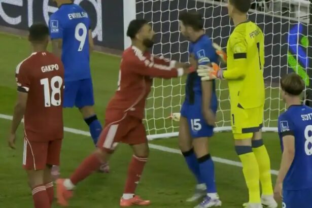  - برفيلكس - brieflex