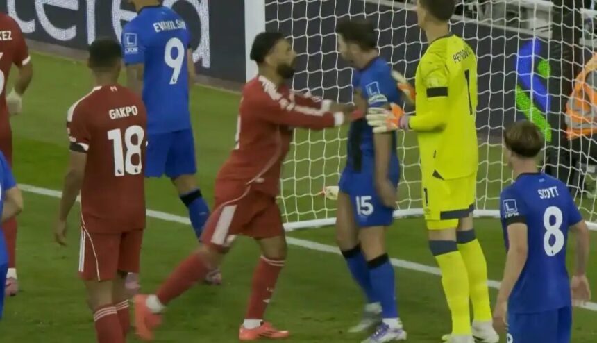  - برفيلكس - brieflex