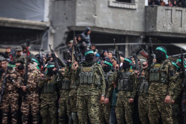  - برفيلكس - brieflex