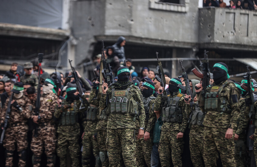  - برفيلكس - brieflex