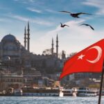  - برفيلكس - brieflex