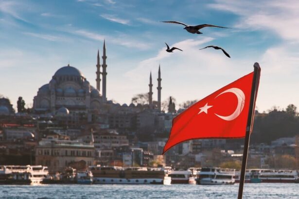  - برفيلكس - brieflex