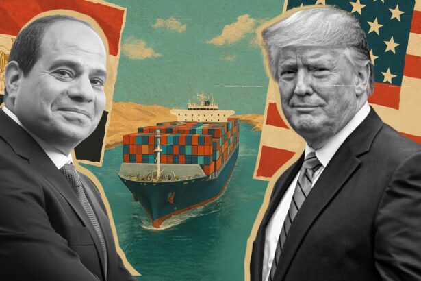  - برفيلكس - brieflex