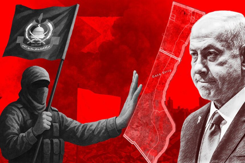  - برفيلكس - brieflex