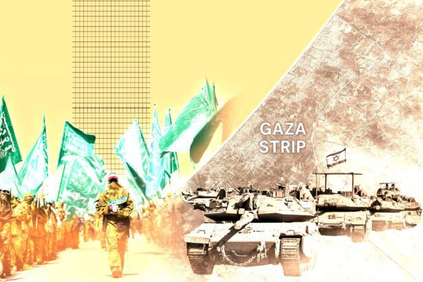  - برفيلكس - brieflex