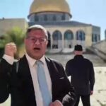 images - 2025-08-03T210307011 - برفيلكس - brieflex  - برفيلكس - brieflex