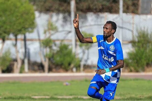  - برفيلكس - brieflex