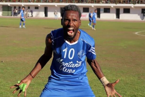  - برفيلكس - brieflex