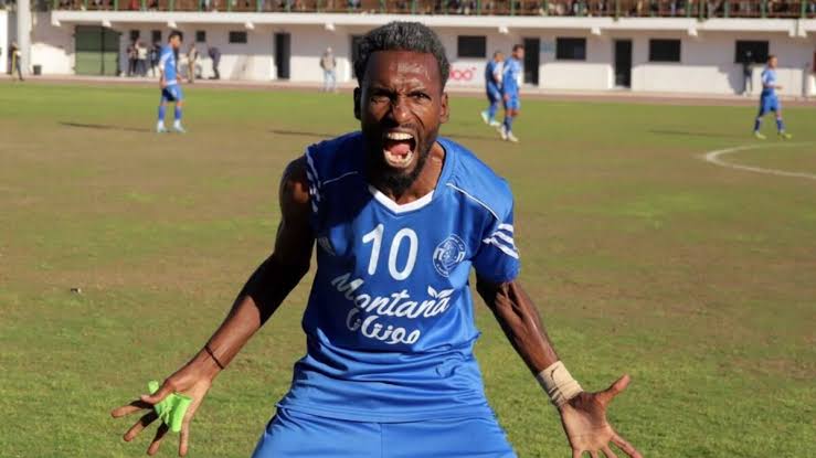  - برفيلكس - brieflex