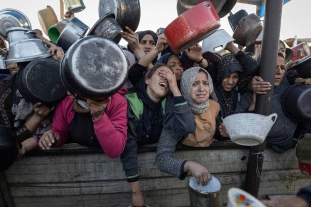  - برفيلكس - brieflex