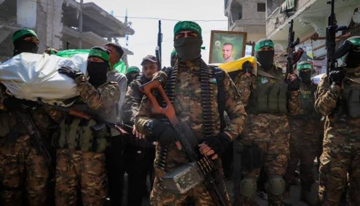  - برفيلكس - brieflex