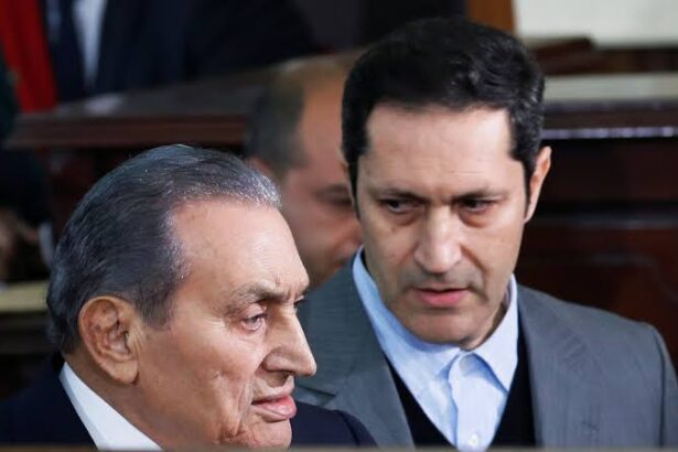  - برفيلكس - brieflex