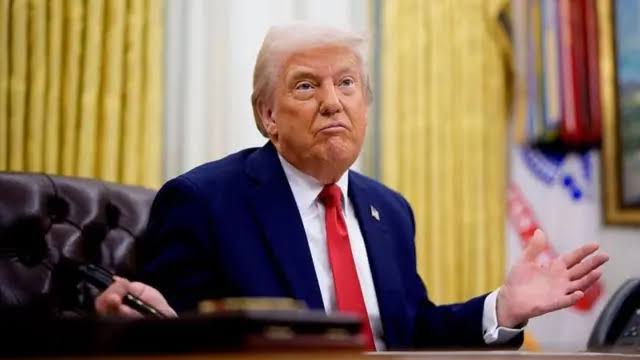  - برفيلكس - brieflex