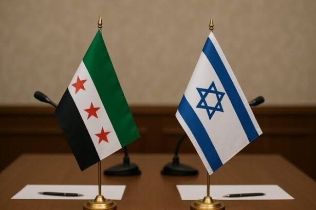  - برفيلكس - brieflex