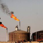  - برفيلكس - brieflex