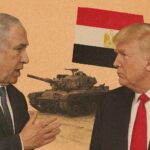  - برفيلكس - brieflex