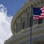 313214 - برفيلكس - brieflex  - برفيلكس - brieflex