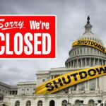  - برفيلكس - brieflex