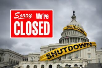  - برفيلكس - brieflex