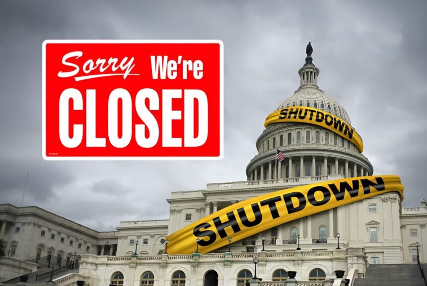  - برفيلكس - brieflex