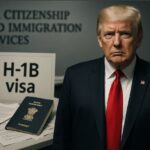  - برفيلكس - brieflex