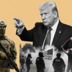  - برفيلكس - brieflex