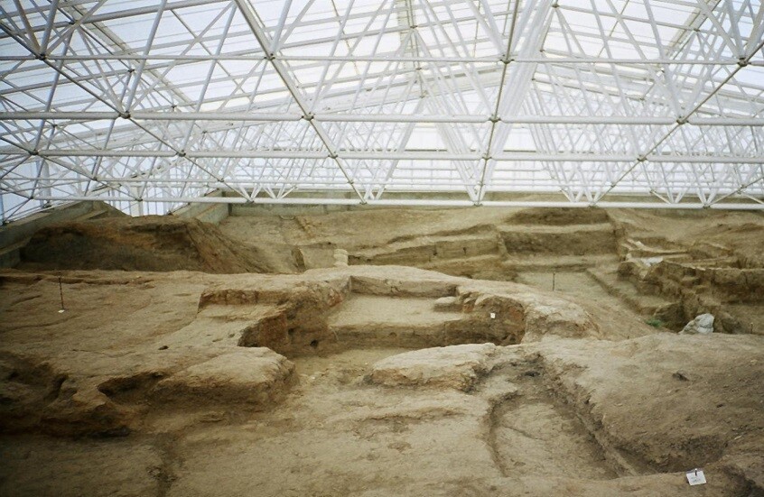  - برفيلكس - brieflex