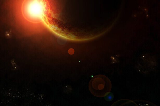  - برفيلكس - brieflex