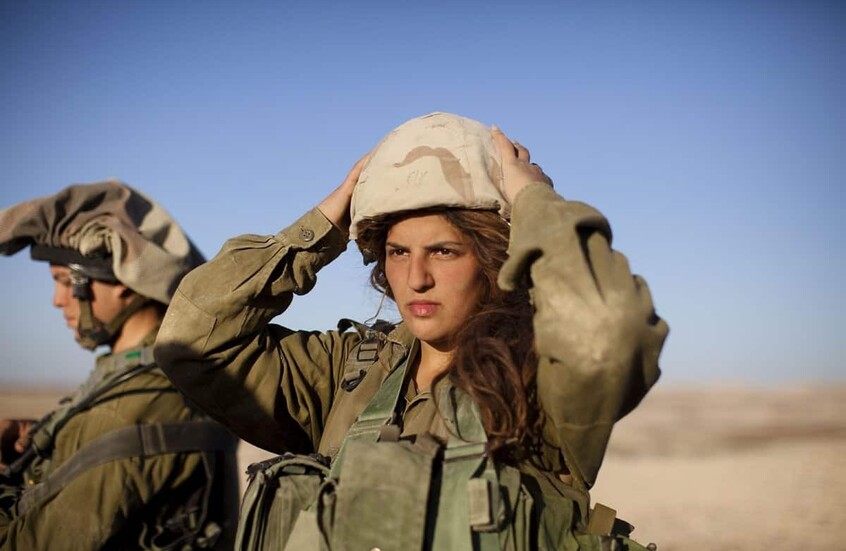  - برفيلكس - brieflex