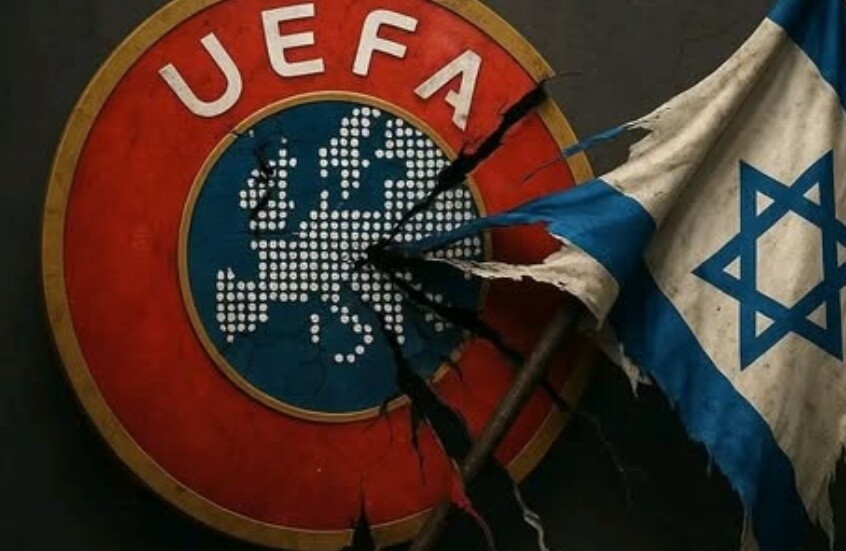  - برفيلكس - brieflex