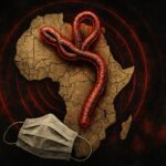  - برفيلكس - brieflex