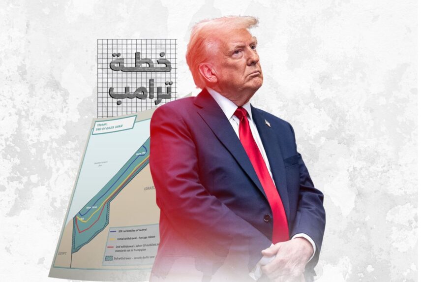  - برفيلكس - brieflex