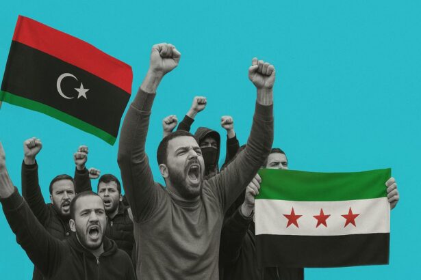  - برفيلكس - brieflex