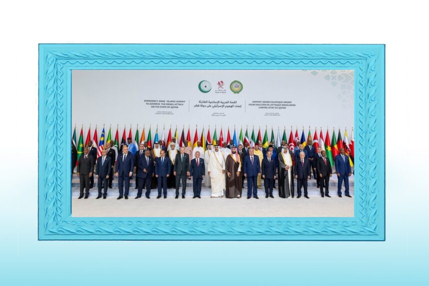  - برفيلكس - brieflex