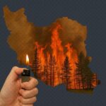  - برفيلكس - brieflex