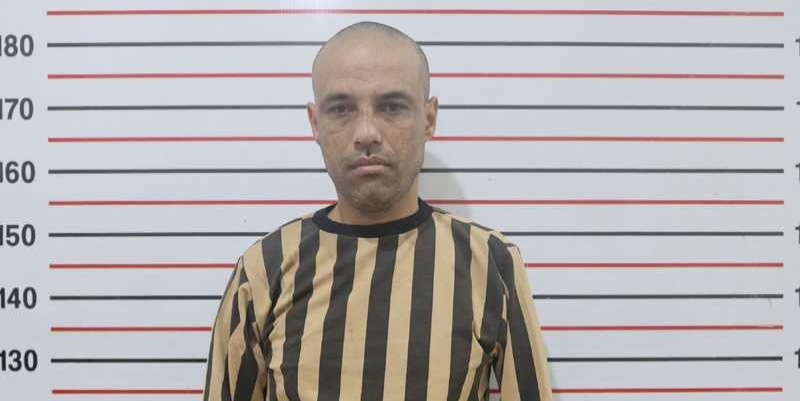  - برفيلكس - brieflex