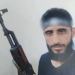  - برفيلكس - brieflex