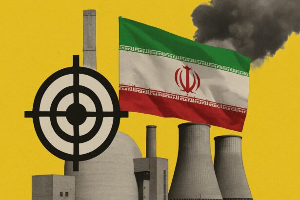  - برفيلكس - brieflex