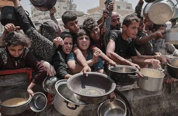  - برفيلكس - brieflex