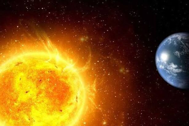  - برفيلكس - brieflex