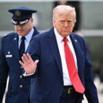  - برفيلكس - brieflex