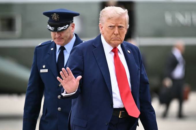  - برفيلكس - brieflex